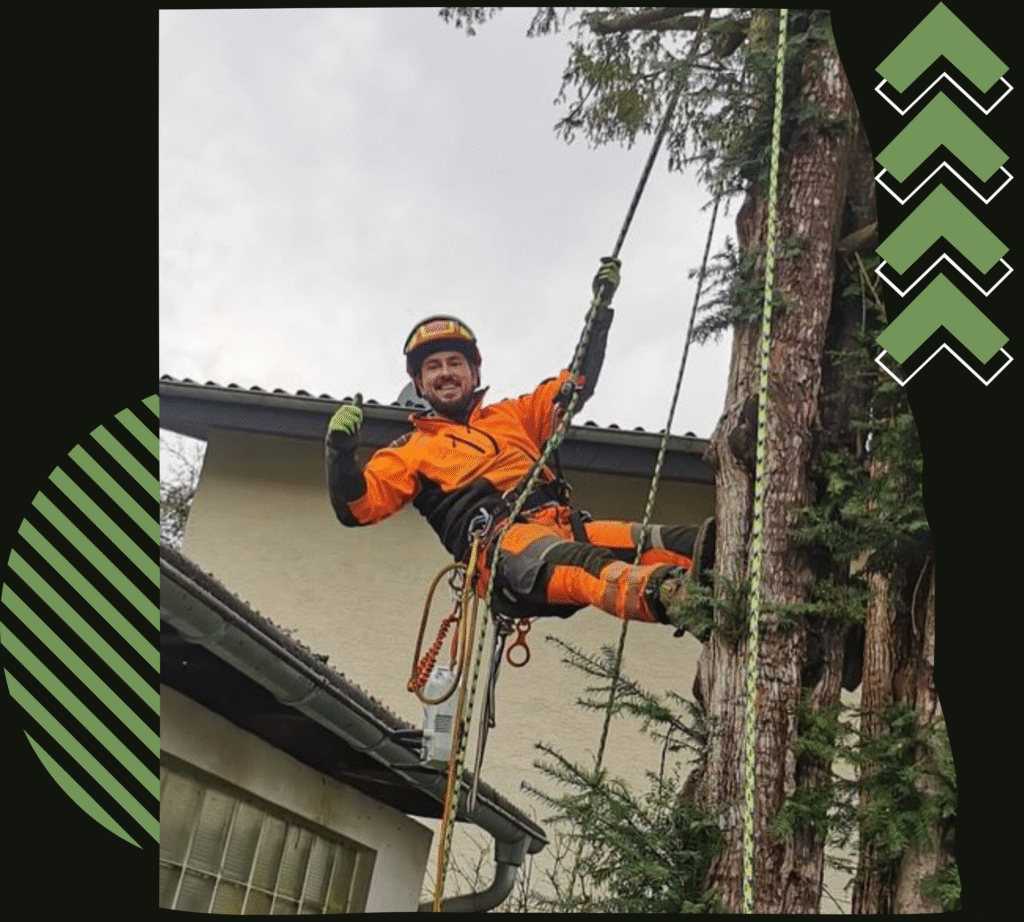 Design ohne Titel 43