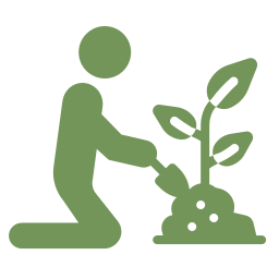 planting
