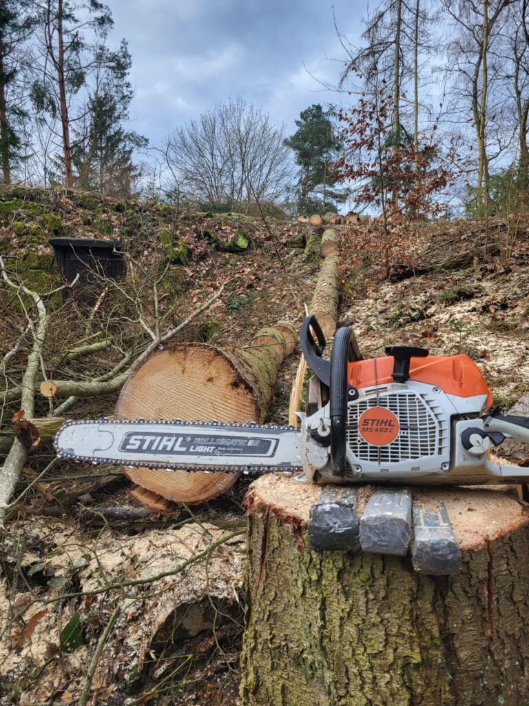 610A33F0 9401 48D0 BF15 47A036BB3F59