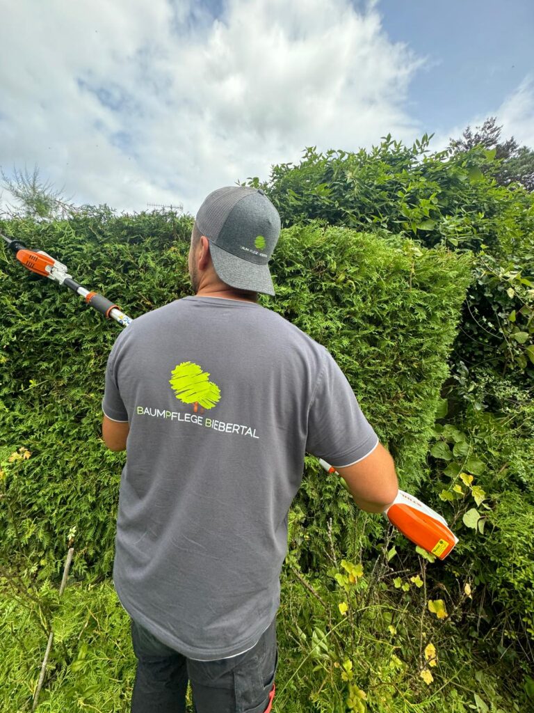 ABF96868 16D3 4C38 89CA 238A7D0E58B1