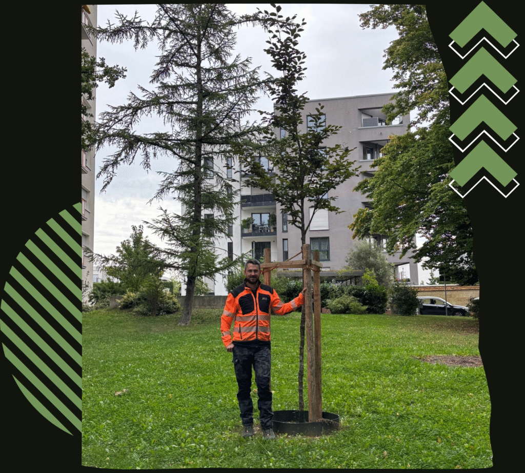 Design ohne Titel 67