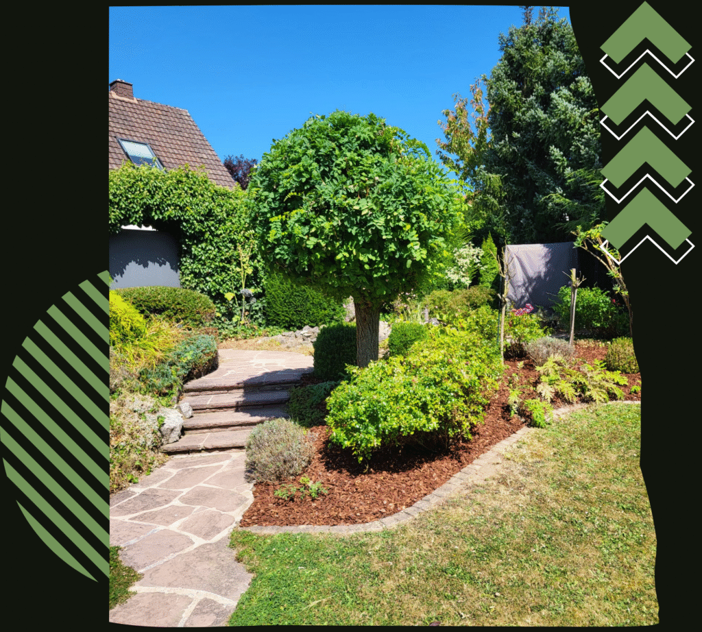 Design ohne Titel 68