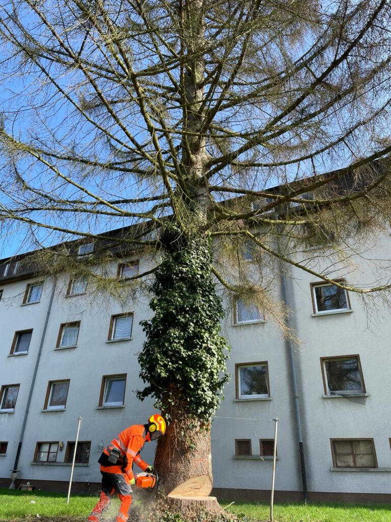 E2A969A6 FBBD 4364 BBC0 BA84FB10DED1