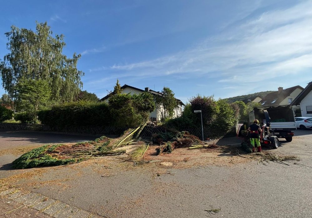 389BB11A-C6A3-4BD5-8212-B6111DD0F17E_1_105_c