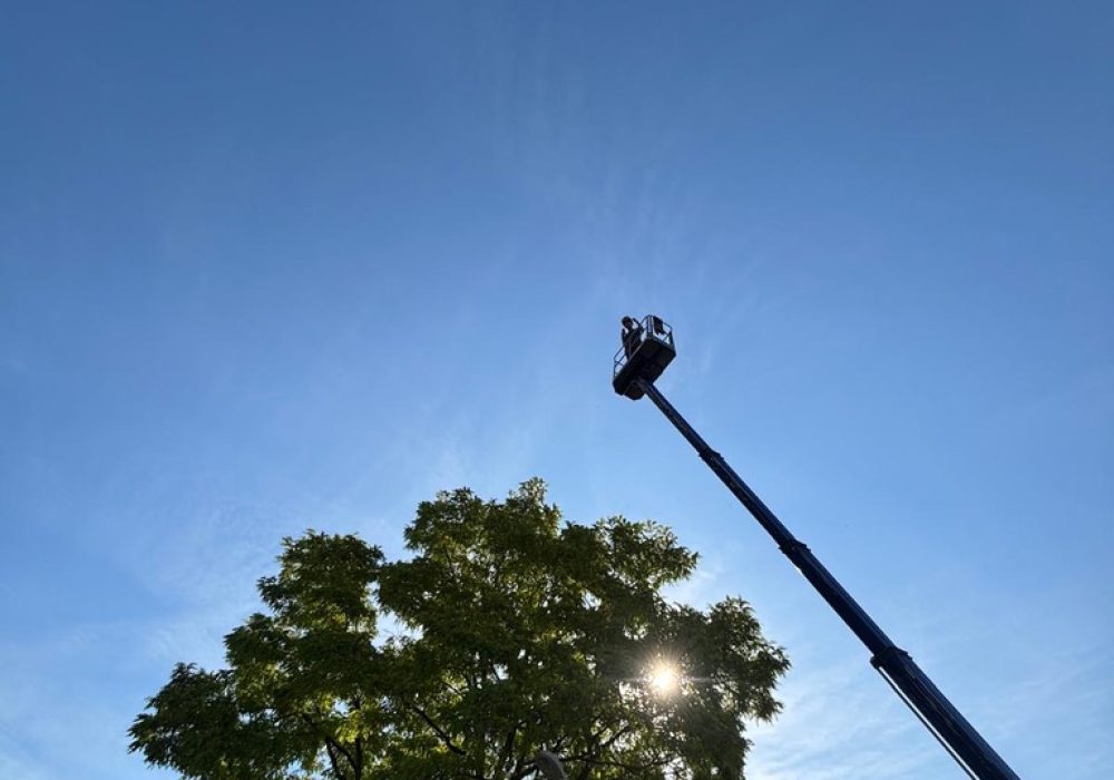 551F1C61-7712-44CB-994E-501FC4523710_1_105_c