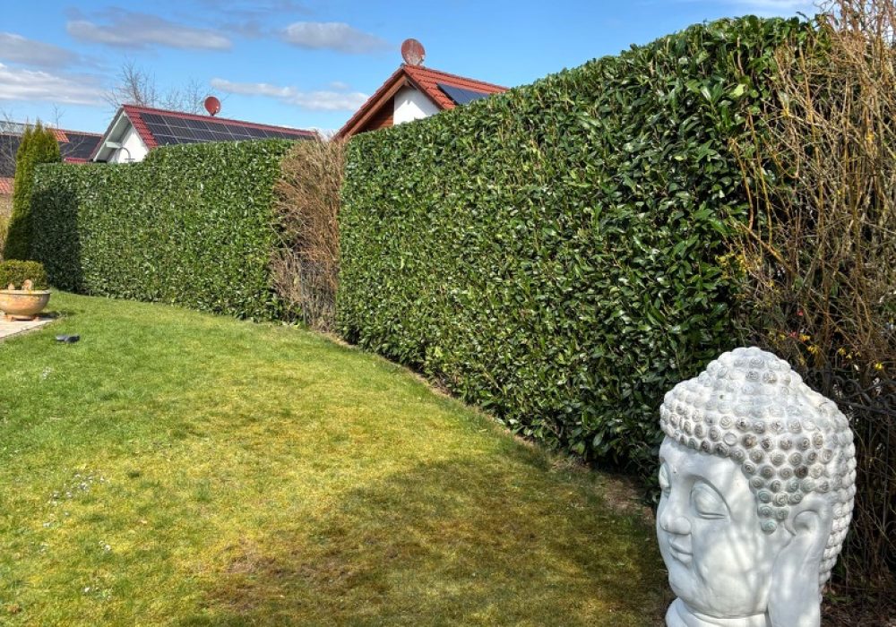 5F6B03A6-4A8A-4BDC-8679-6A2149CB54CC_1_105_c