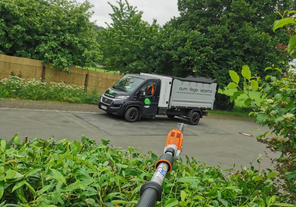 74FABAF0-ABE9-416A-BD8E-DD042C26EFB8