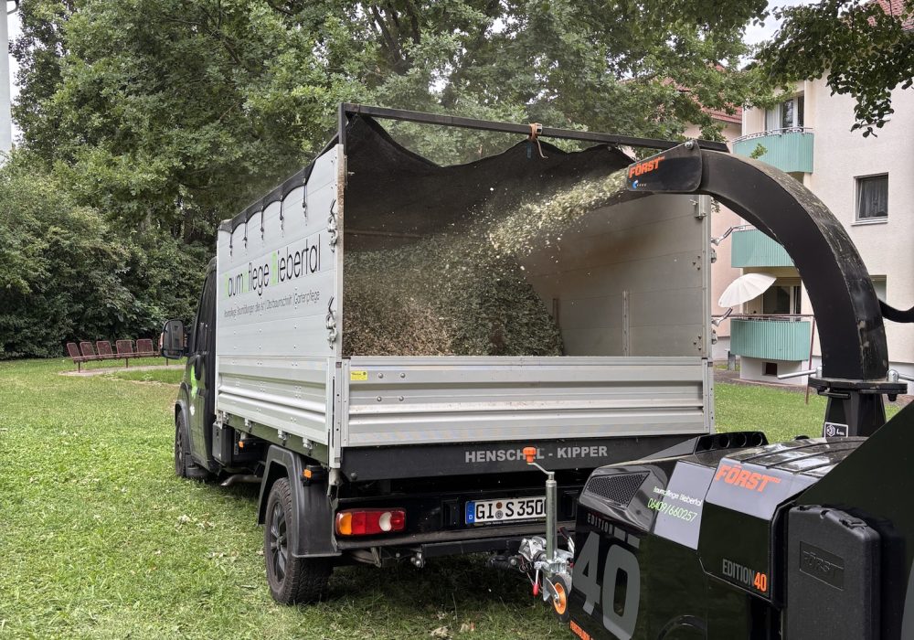 A6F12EA1-8723-4671-870B-93BDD8088A62_1_102_o