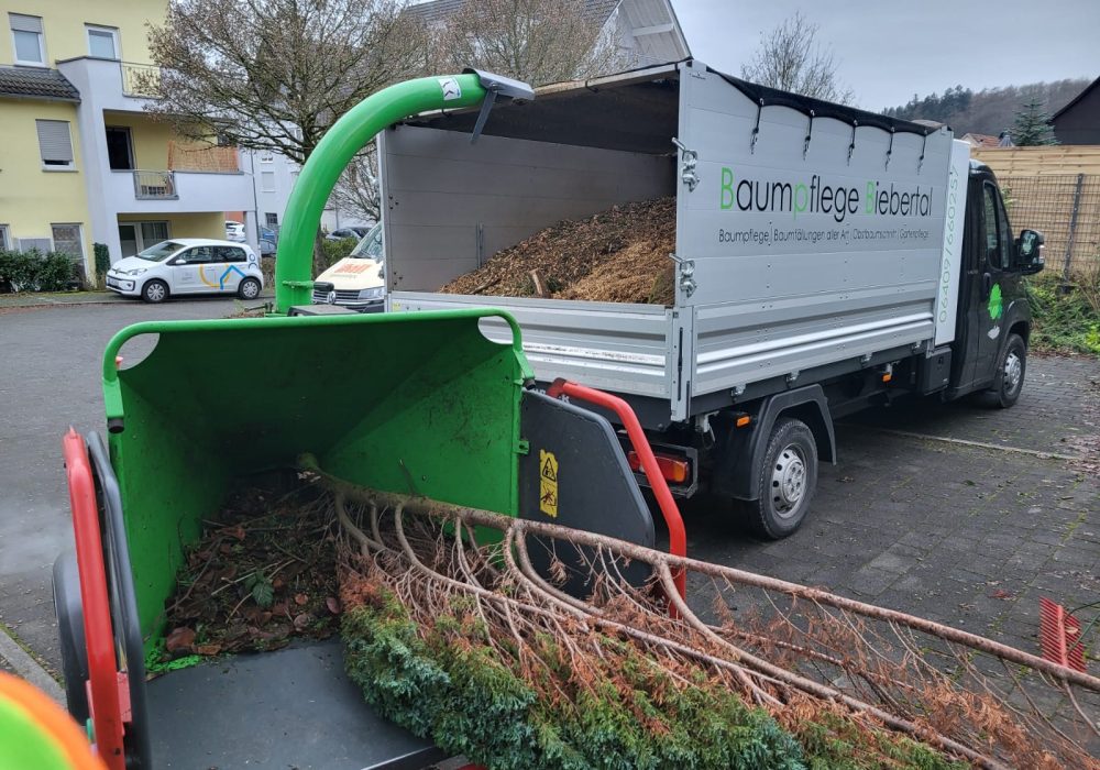 B0F9EE88-D31C-467E-9648-B306BE780BEF