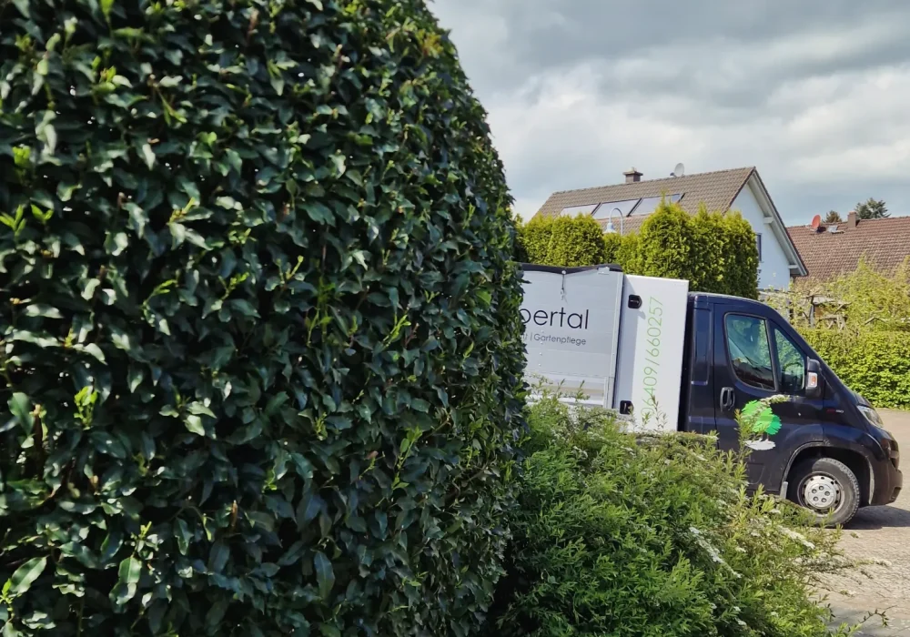 C9D2E6A7-D18C-4675-AFC2-89042D5AD17A