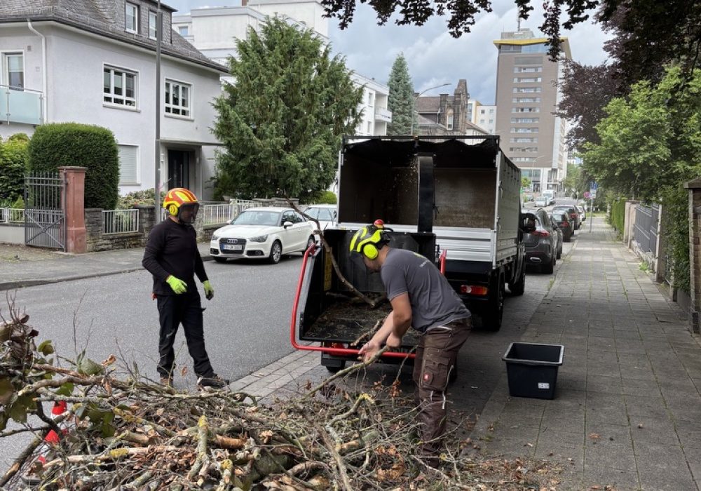 D8A7B2F0-BDE1-4516-B23A-216DF186BC0D_1_105_c