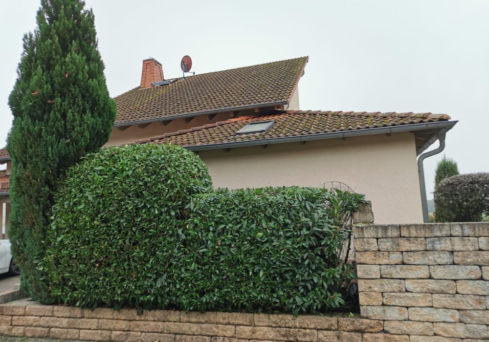 E352A287-B752-4B76-8933-703F66F5B7C0