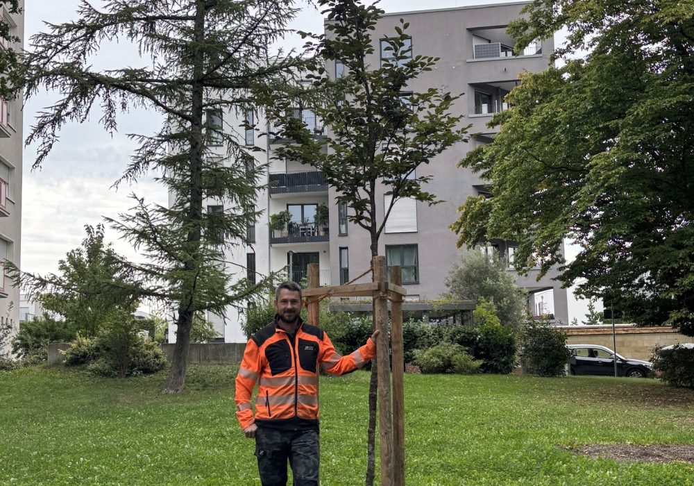 E3C5F2B7-C457-437B-AAFD-862000BAD9CF_1_102_o