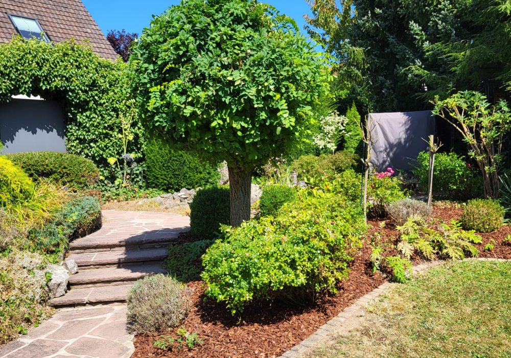 F1BD1933-D73F-4F38-A951-386EB91B825E